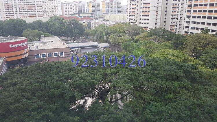 Blk 528 Jelapang Road (Bukit Panjang), HDB Executive #151989972